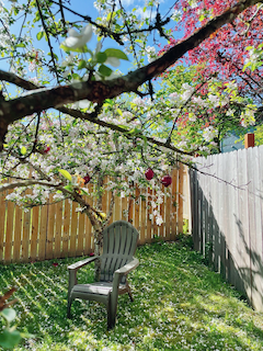 Spring under the apples