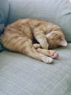 Furface in repose