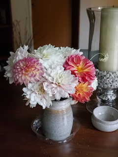 Week of August 22