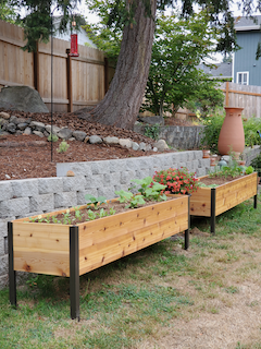 New beds take shape