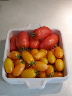 Not a bad haul