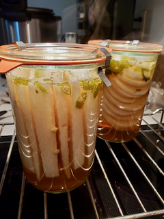 Bahn Mi Daikon: done