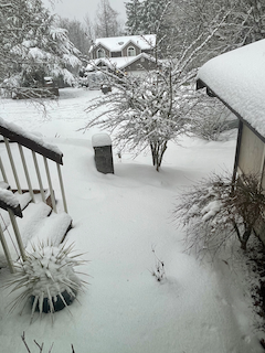 Our one week of cold, Valentine's Day