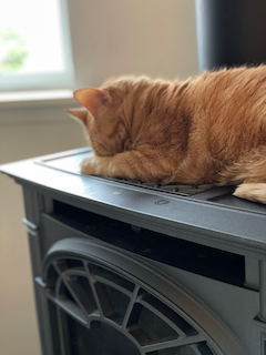 Winter light sleepies